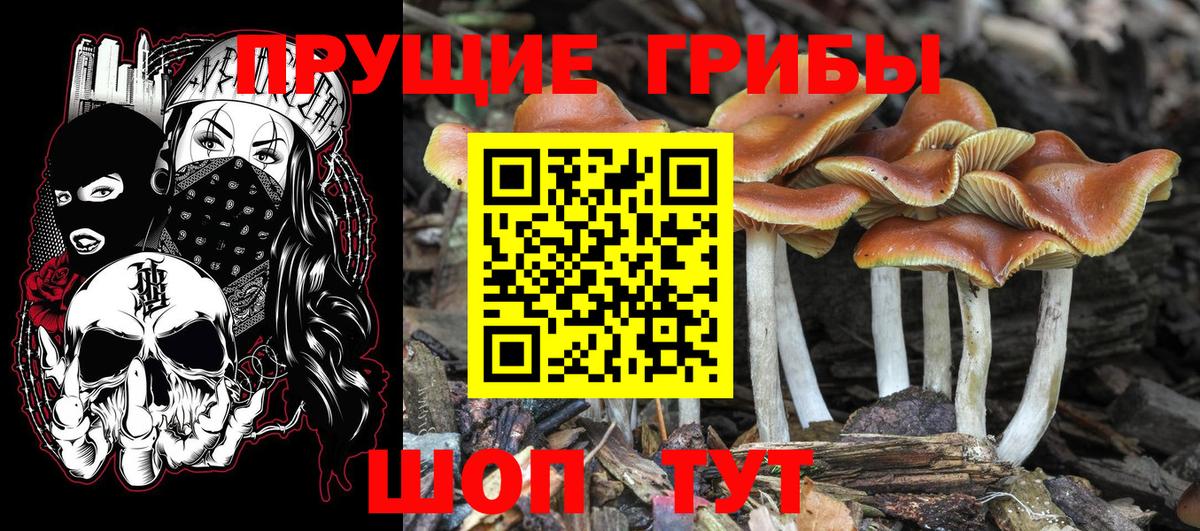 Галлюциногенные грибы Magic Shrooms Туймазы