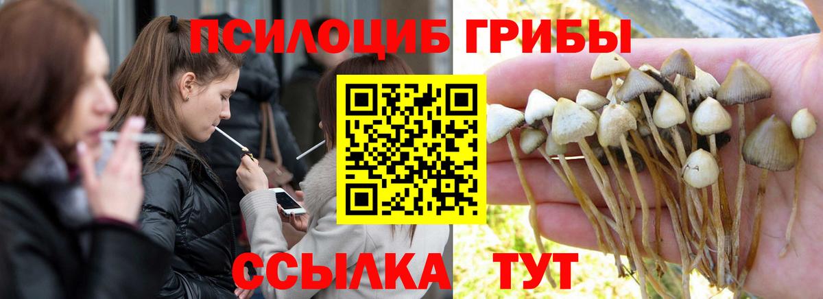Псилоцибиновые грибы MAGIC MUSHROOMS  Псилоцибиновые грибы мухоморы  купить наркотики сайты  Туймазы  Вход с VPN 